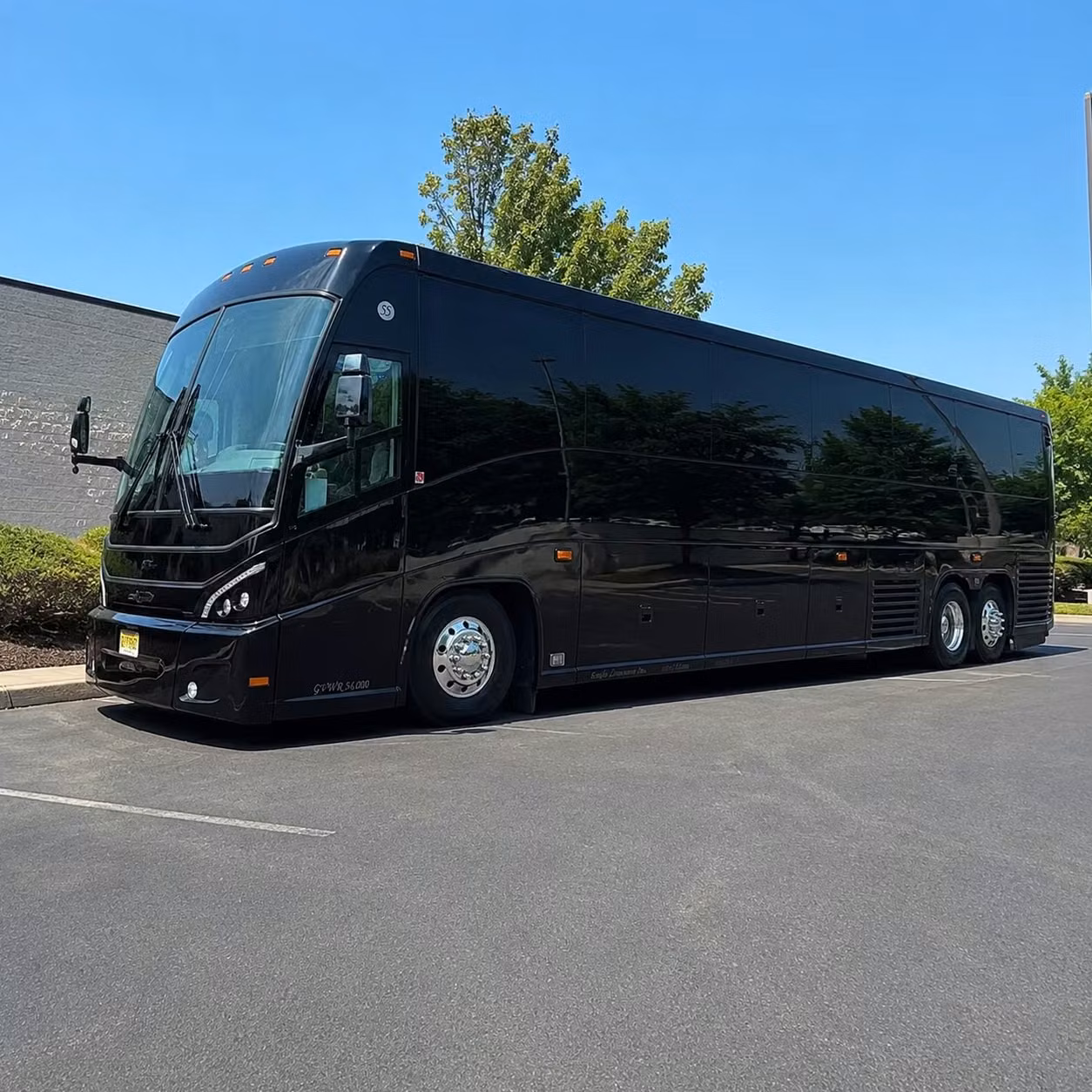 heading outside bellevue you can still compare long distance transportation options
