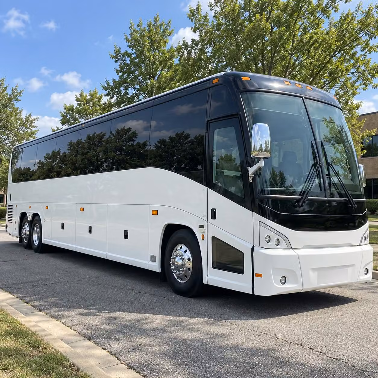 ready to book bellevue zoo trips aquarium runs and multi stop field trip itineraries